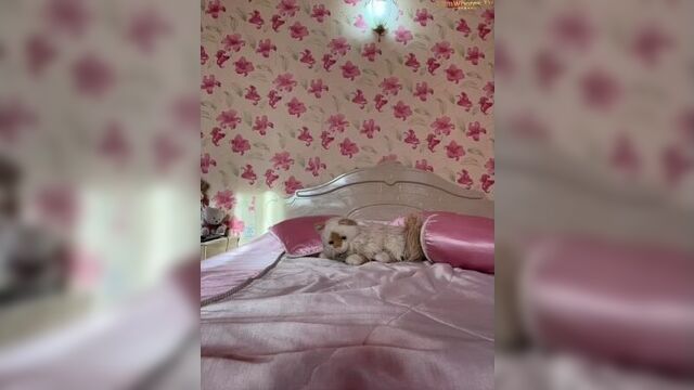 Brenda_kiska 5