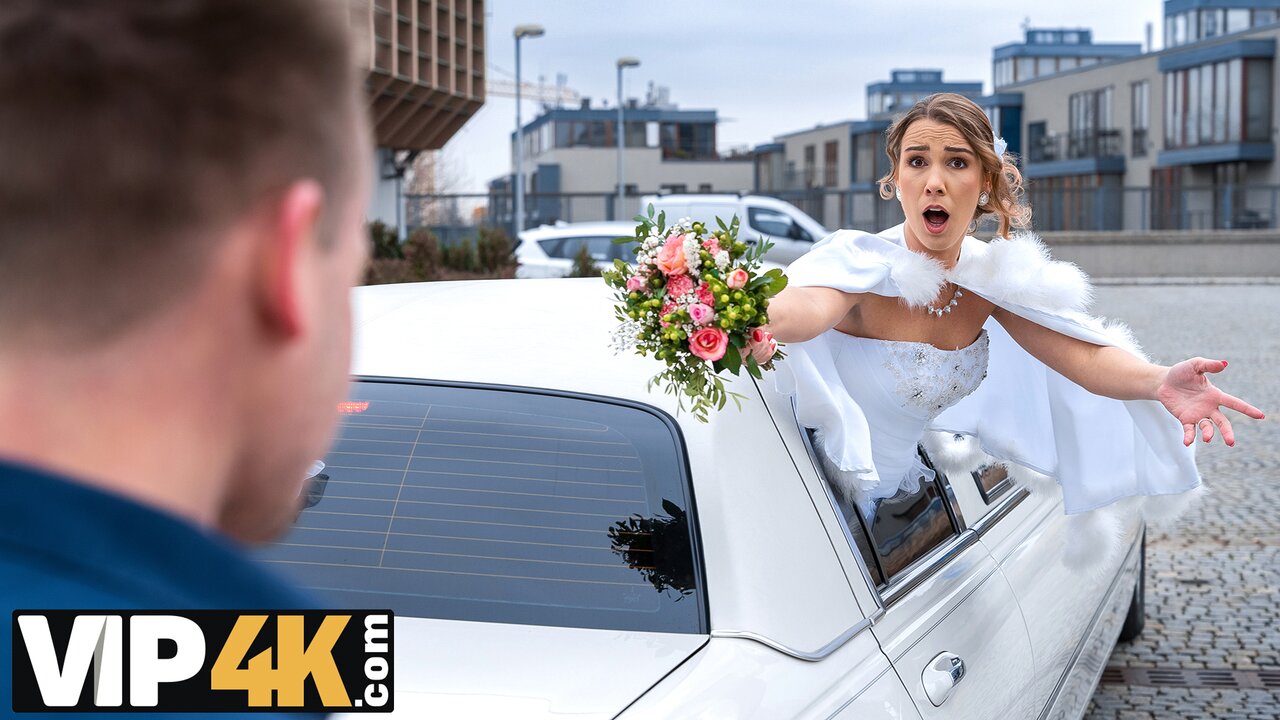Водитель лимузина трахнул невесту по дороге на свадьбу